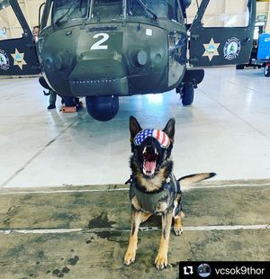 Image post by @vcsheriff on Instagram