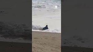 Video post by @accuweather on YouTube