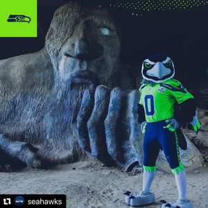 Image post by @blitztheseahawk on Instagram