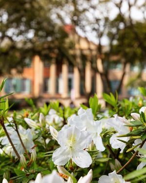 Image post by @collegeofcharleston on Instagram