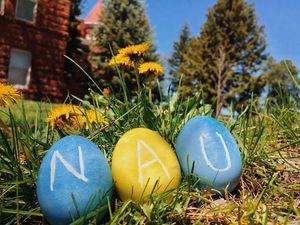Image post by @nauflagstaff on Instagram