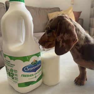 Image post by @arladairyuk on Instagram