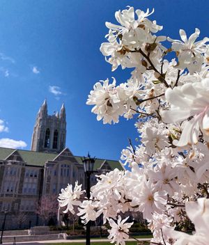 Image post by @bccampusmin on Instagram