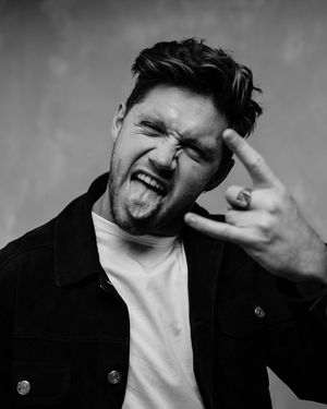 Image post by @niallhoran on Instagram
