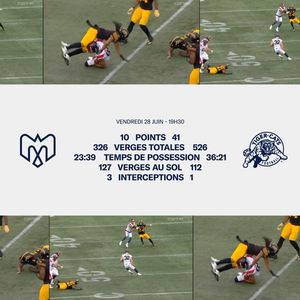 Image post by @mtlalouettes on Instagram
