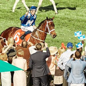 Image post by @australianturfclub on Instagram