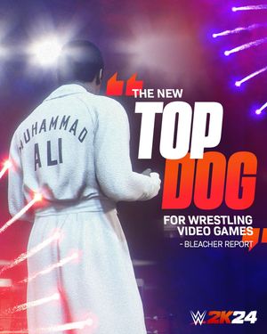 Image post by @wwegames on Instagram