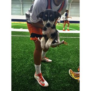 Image post by @cusewlax on Instagram
