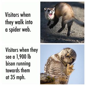 Image post by @nationalparkservice on Instagram