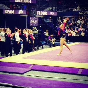 Image post by @uwgymnastics on Instagram