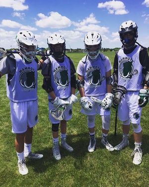 Image post by @washeduplaxbros on Instagram
