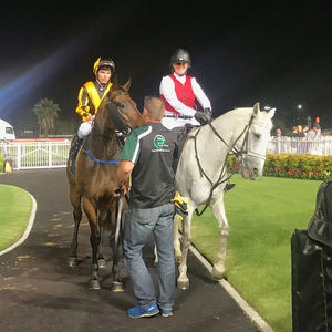 Image post by @australianturfclub on Instagram