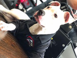 Image post by @ryanpreece_ on Instagram
