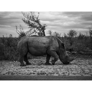 Image post by @francesco__laporta on Instagram