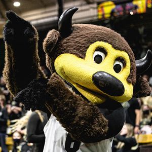 Image post by @chipthebuffalo on Instagram