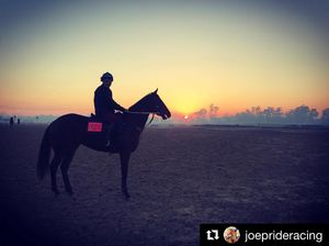 Image post by @australianturfclub on Instagram