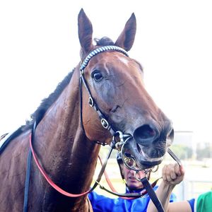 Image post by @australianturfclub on Instagram
