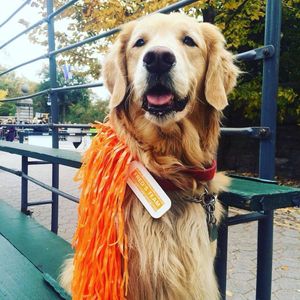 Image post by @nycmarathon on Instagram