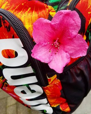 Image post by @arenausa on Instagram