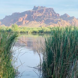 Image post by @yogapartylive on Instagram