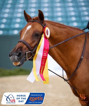 Image post by @usequestrian on Instagram