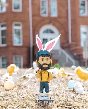 Image post by @nauflagstaff on Instagram