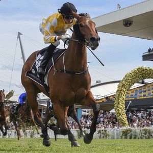 Image post by @australianturfclub on Instagram