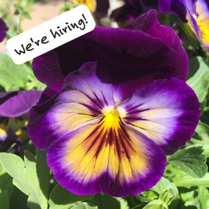 Image post by @kidsgardening on Instagram