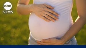 Video post by @ABC News on YouTube