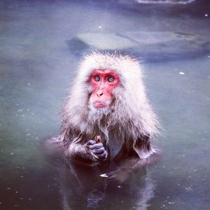 Image post by @discovery on Instagram