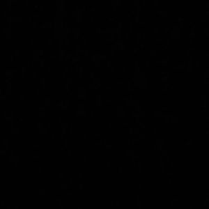 Image post by @rossinsana on Instagram