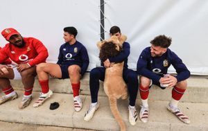 Image post by @britishandirishlions on Instagram