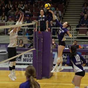 Image post by @westernmustangs on Instagram