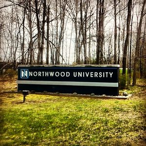 Image post by @nutimberwolves on Instagram