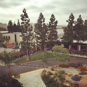 Image post by @asicsuf on Instagram