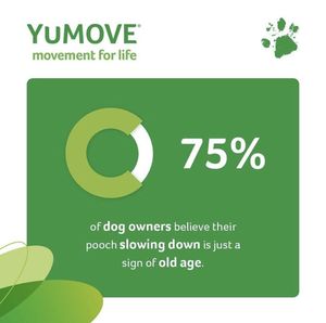 Image post by @yumove_usa on Instagram
