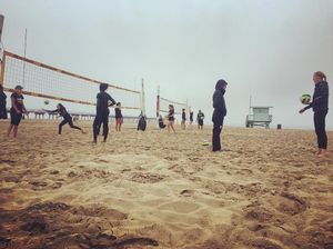 Image post by @usfdonsvb on Instagram