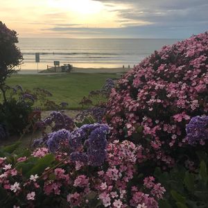 Image post by @holidaybowl on Instagram