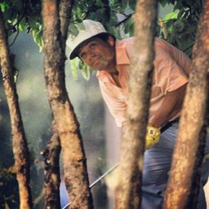 Image post by @gfore on Instagram