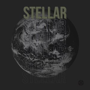 Image post by @stellaragency on Instagram