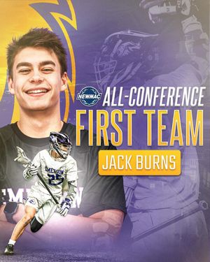 Image post by @emersonlions on Instagram