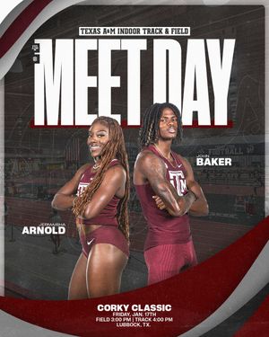 Image post by @aggietfxc on Twitter