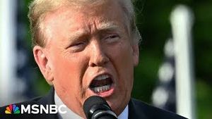 Video post by @msnbc on YouTube