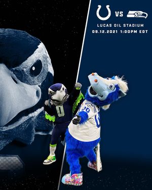Image post by @blitztheseahawk on Instagram