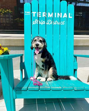Image post by @sdterminal on Instagram