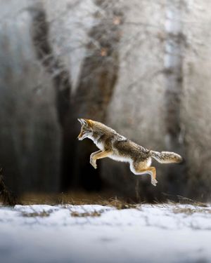 Image post by @discovery on Instagram