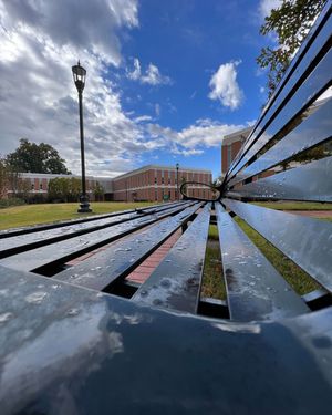 Image post by @unccharlotte on Instagram