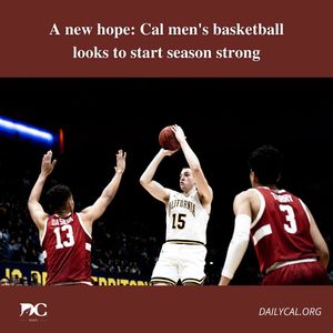 Image post by @dailycalsports on Instagram