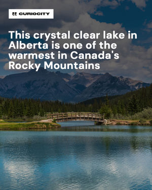 Image post by @curiocitycalgary on Instagram