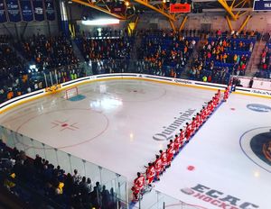 Image post by @terrierhockey on Instagram